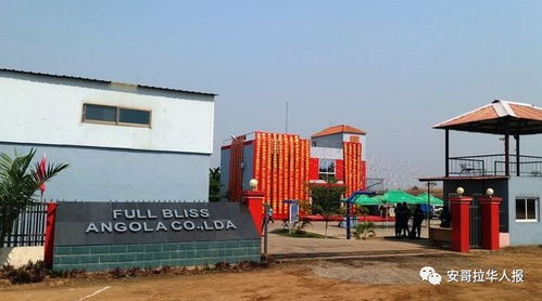 綠色發展新引擎 中國企業投資的廢品回收與塑料制品一體化工廠盛大開業